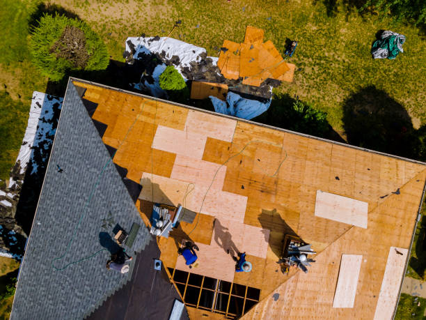 Best Metal Roofing Contractor  in Archer City, TX