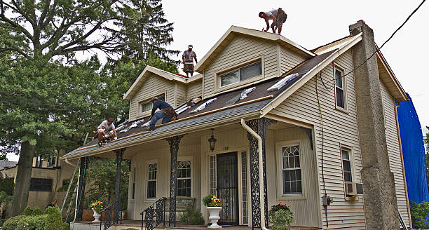 Best Shingle Roofing Installation  in Archer City, TX